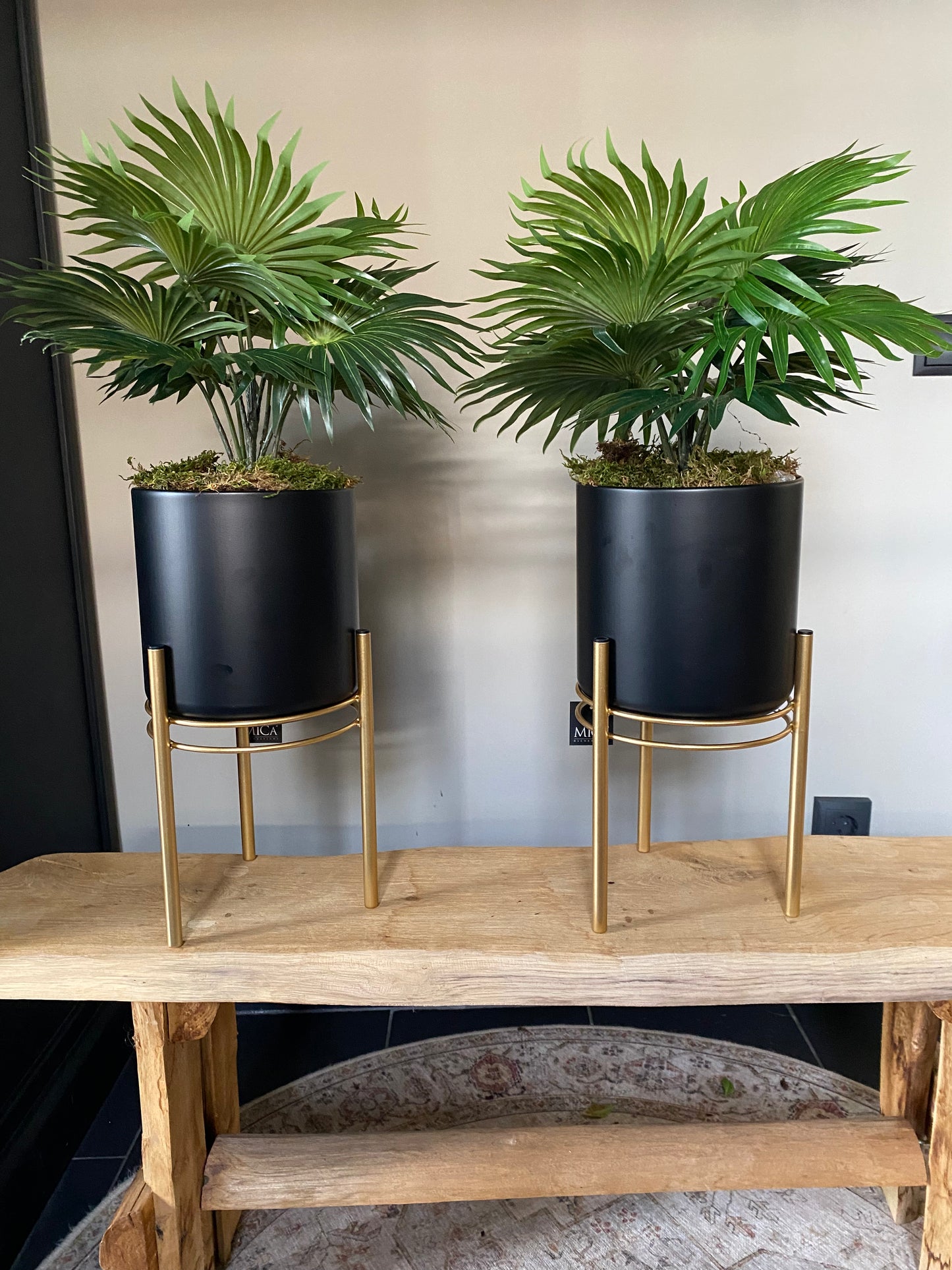 Zijdepalm in zwarte pot met goudkleurig metaal