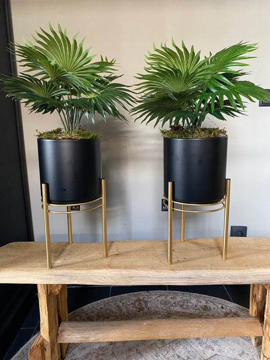 Zijdepalm in zwarte pot met goudkleurig metaal