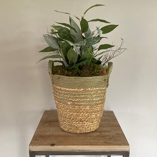 Mand Suus met zijdeplant
