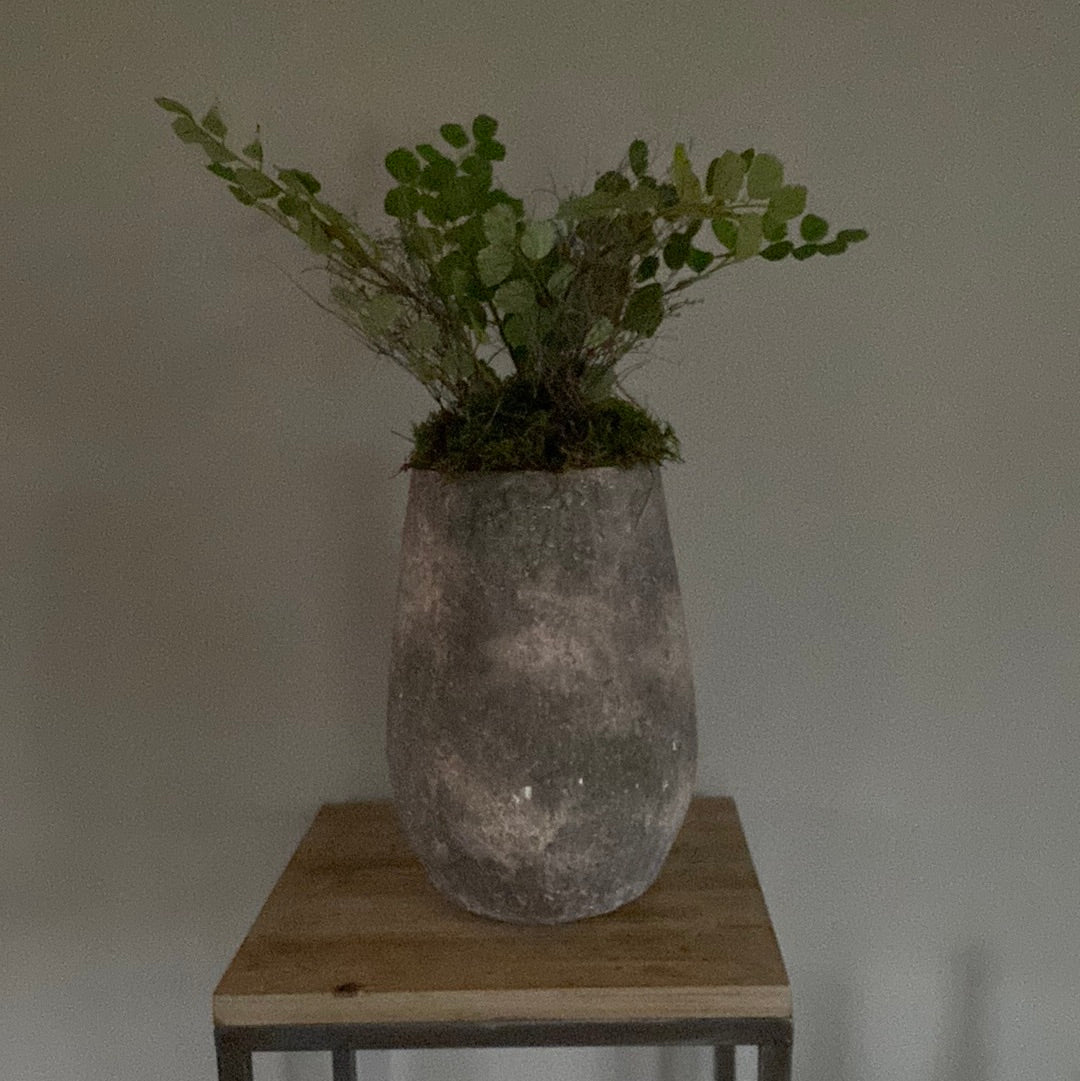 Pot met zijdeacacia