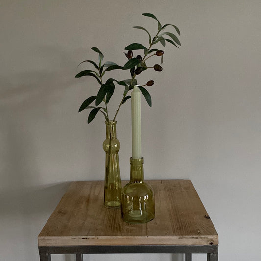 Set Ivy